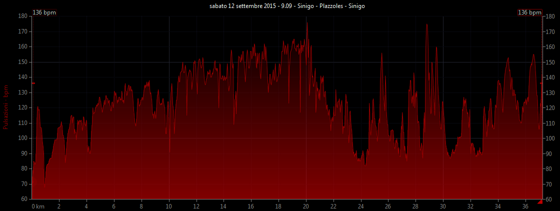 Grafico frequenza cardiaca